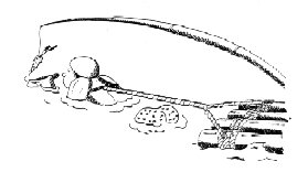 Nageur